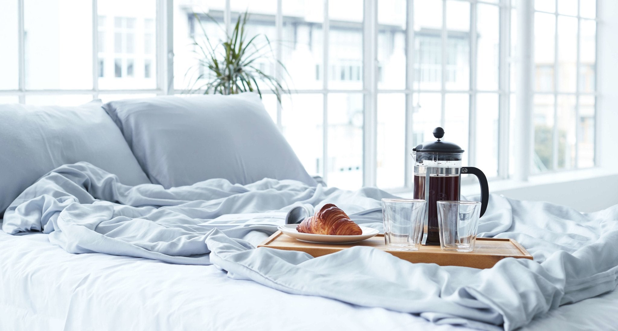 Signature Bamboo Pillowcase Pair - Groundd